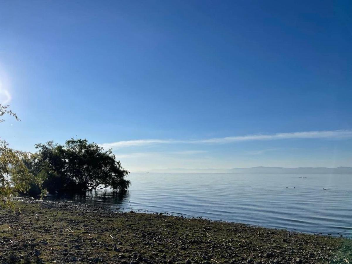 Seuia Departamentos Con Alberca A Pasos Del Lago 阿吉吉克 外观 照片
